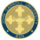 Nursing pin emblem